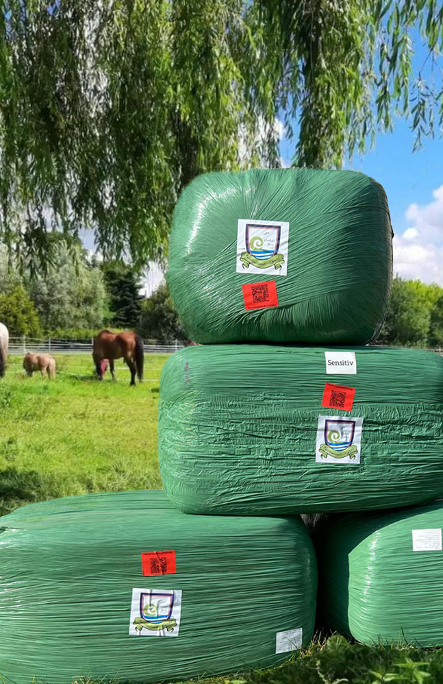 Kuestenlandgras Ballen Koppel schmal Kuestenlandgras Ballen Koppel schmal
